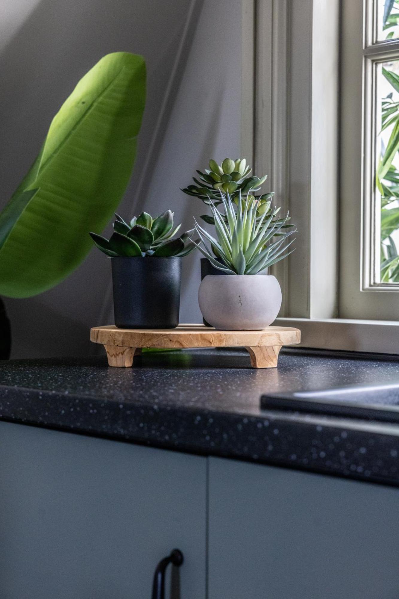 Huis Delfshaven ミデルブルグ 部屋 写真